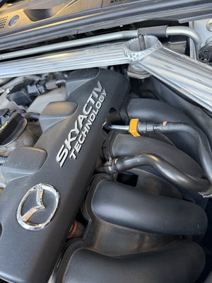 画像の説明 画像の説明